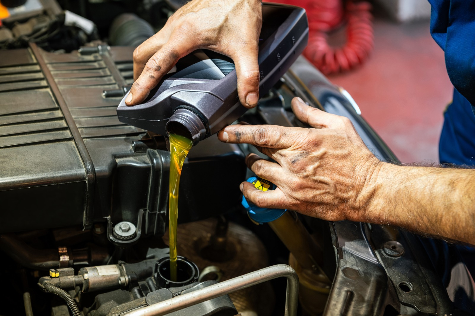 WhatsApp Image 2025-11-26 at 17.21.27