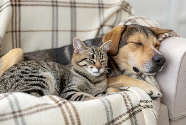 WhatsApp Image 2026-01-14 at 15.35.01