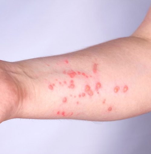 94c9bccb-18f3-4046-8192-68dfb83e8b12